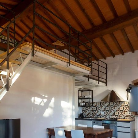 Le Pettegole Del Boschetto Villa Castiglione della Pescaia Værelse billede