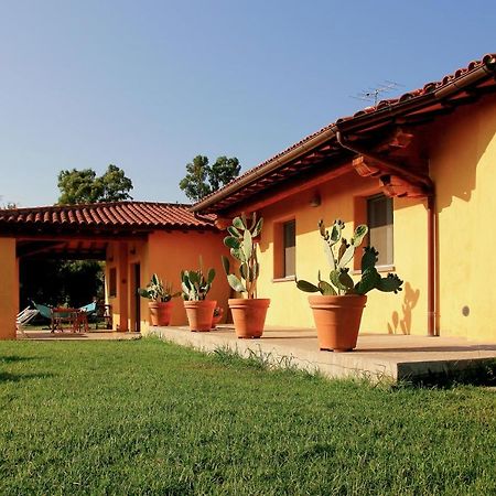 Le Pettegole Del Boschetto Villa Castiglione della Pescaia Eksteriør billede