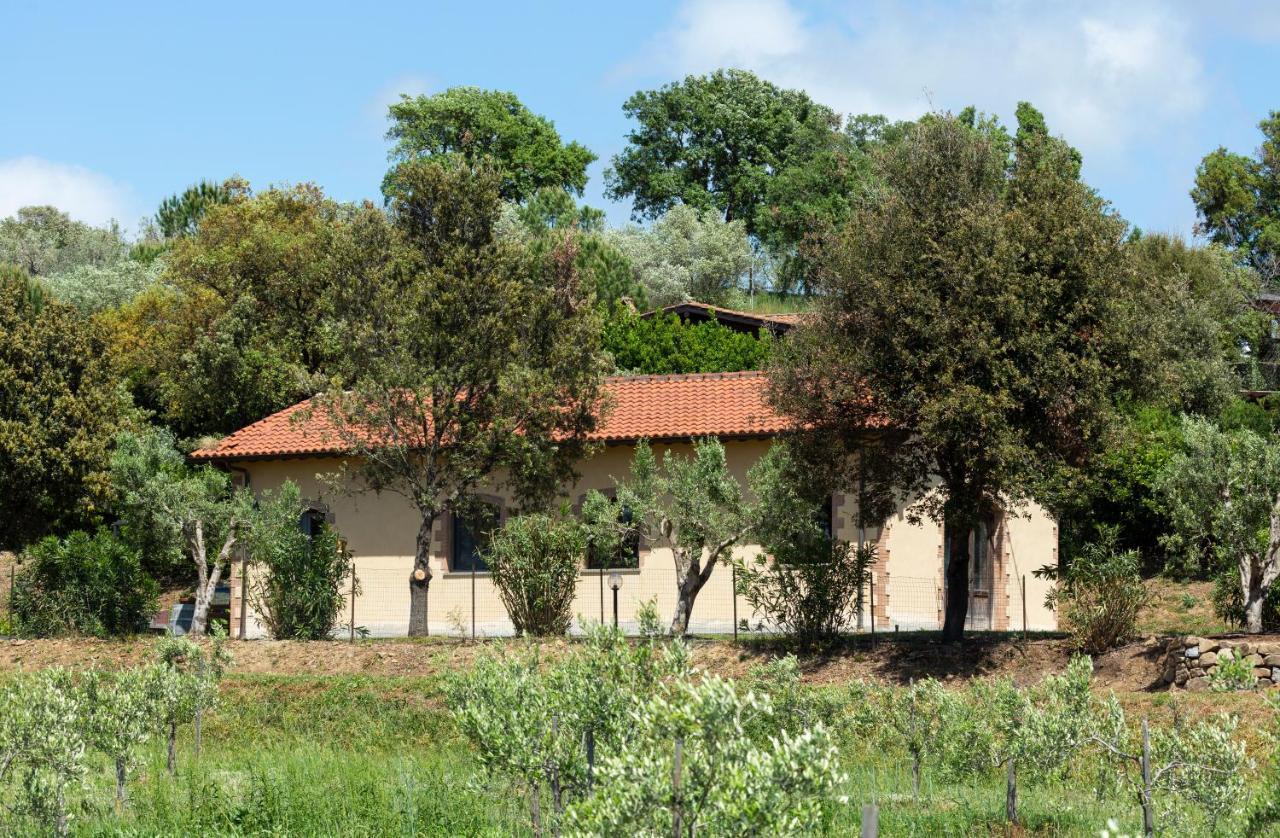 Le Pettegole Del Boschetto Villa Castiglione della Pescaia Eksteriør billede