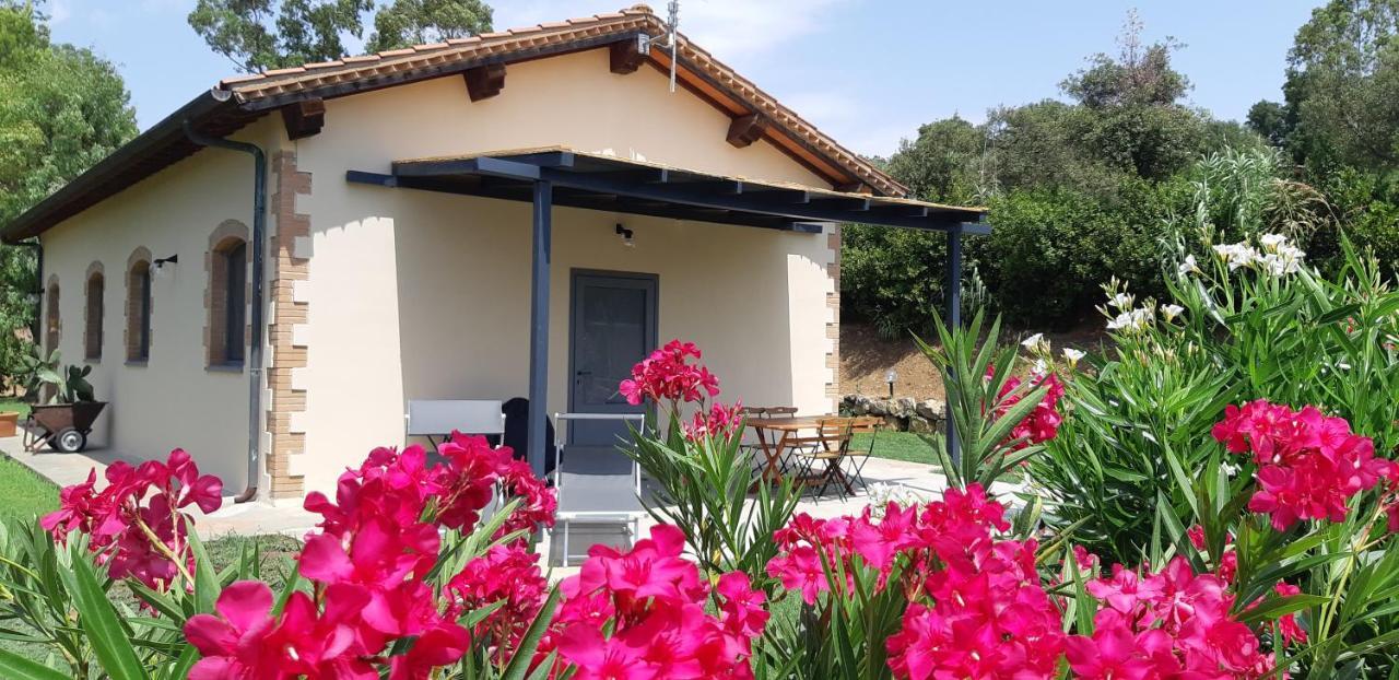 Le Pettegole Del Boschetto Villa Castiglione della Pescaia Eksteriør billede