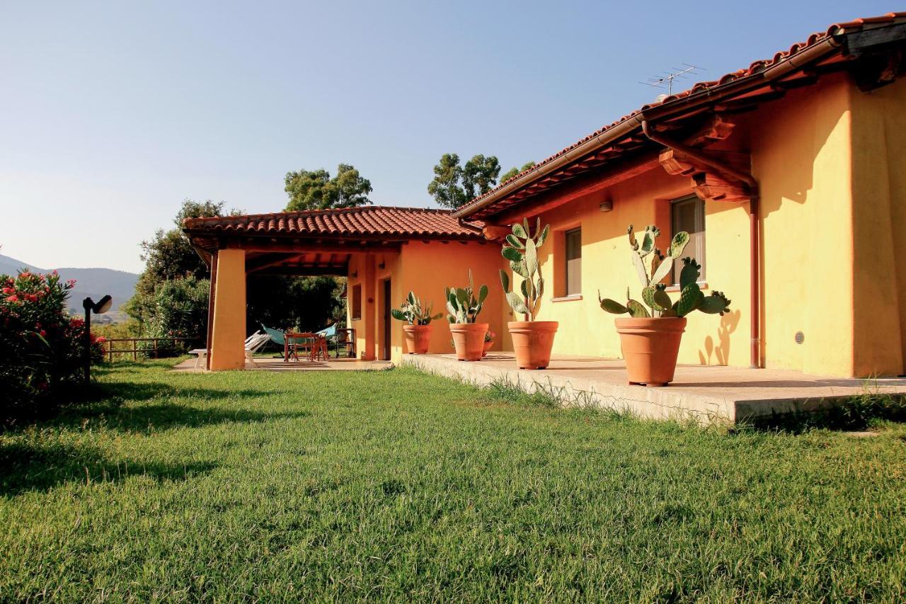 Le Pettegole Del Boschetto Villa Castiglione della Pescaia Eksteriør billede